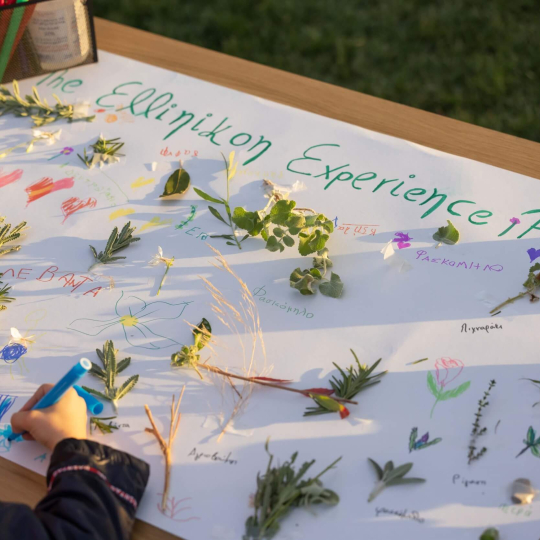 Εκπαιδευτικά προγράμματα