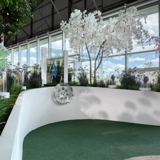 Εκπαιδευτικά προγράμματα